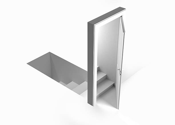 Trap Door / Access Panel